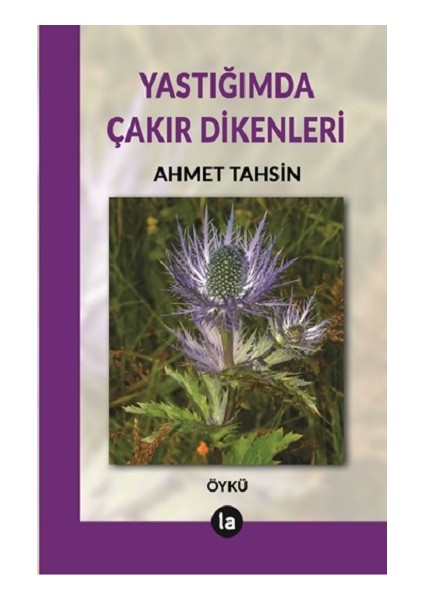 Yastığımda Çakır Dikenleri