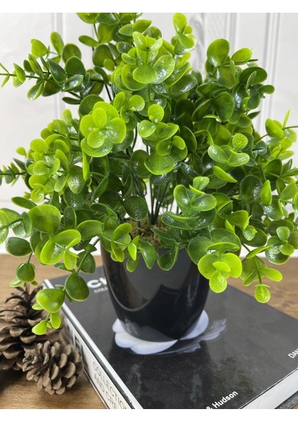 Yapay Çiçek Şimşir Eucalyptus Yapay Bitki Siyah Plastik Saksılı Dekoratif Süs Çiçeği