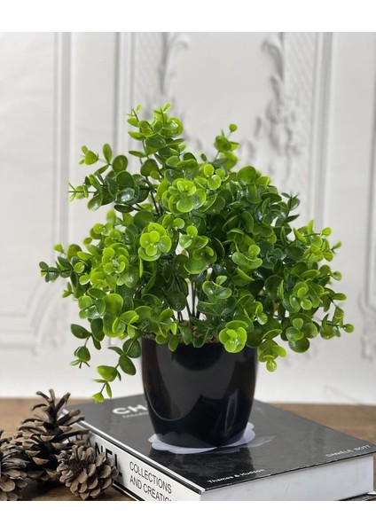 Yapay Çiçek Şimşir Eucalyptus Yapay Bitki Siyah Plastik Saksılı Dekoratif Süs Çiçeği