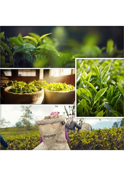 Gizli Bahçe 1000 gr Dökme Siyah Çay X2