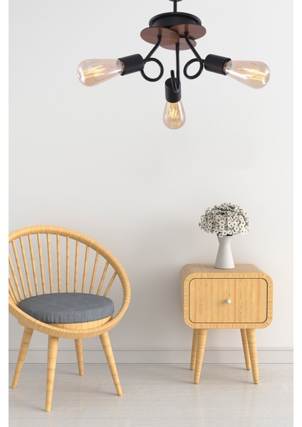 Aydinç 3'lü Siyah Ceviz