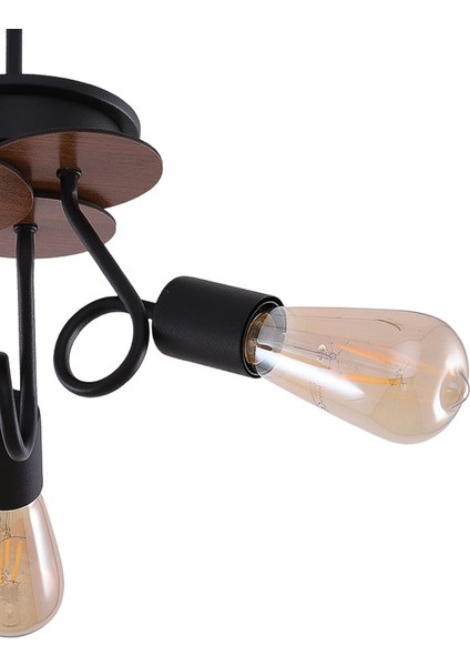 Aydinç 3'lü Siyah Ceviz fırsatları