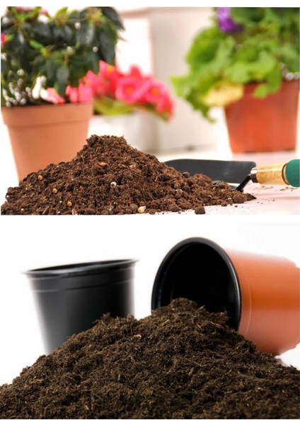 Torf Saksı Çiçek Toprağı Perlit Katkılı 5 litre