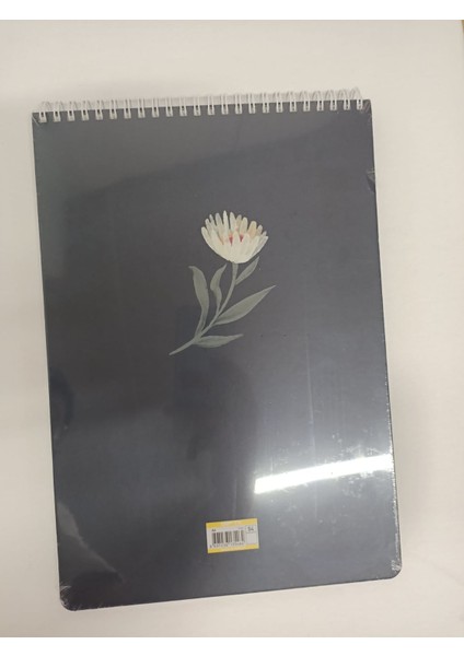 Spring Plan Spiralli Haftalık Planlayıcı Model 2 fiyatları