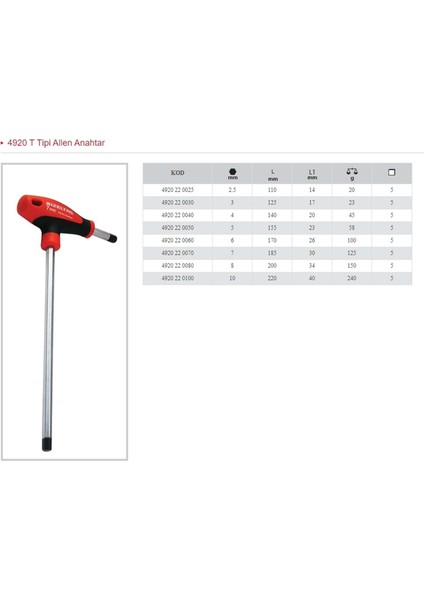 10 mm T Tipi Allen Anahtar 4920 22 0100