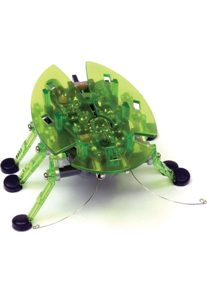 Hexbug Böcek Yeşil
