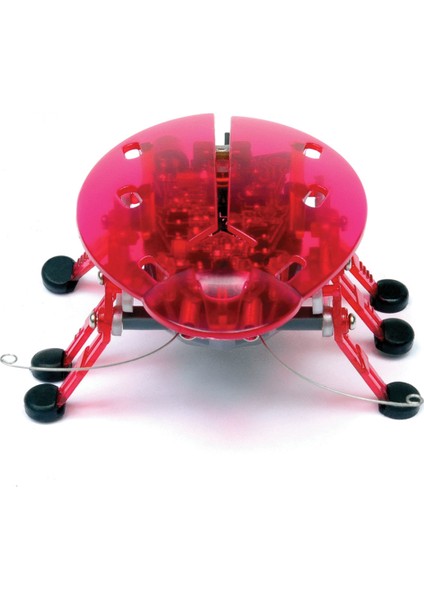 Hexbug Böcek Pembe