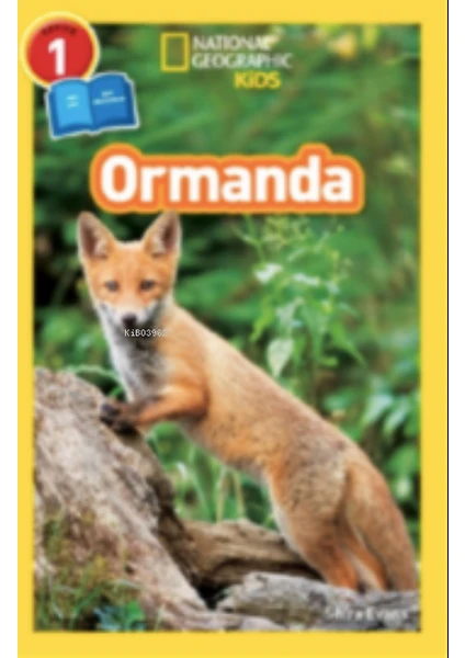 National Geographic Kids - Ormanda - Seviye 1 - Shira Evans