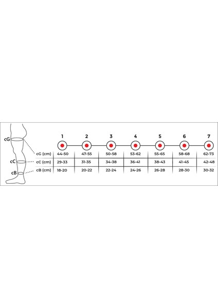 Ref 901DIZ Üstü Çorabı (Açık Burun) - Variteks - Xl(4)