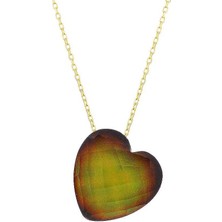 Prenses Pırlanta Kadın 9 Renk Olan 14 Ayar Kalp His Taşı Altın Kolye