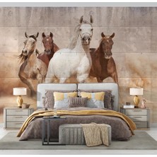 Özel Duvarlar Beton Zemin Koşan Atlar Duvar Kağıdı