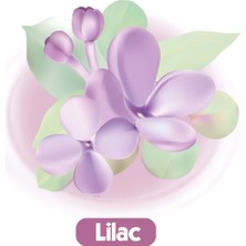 Baby Turco Leylak Kokulu Islak Bebek Havlusu 12 x 70 Adet