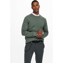 Only & Sons Ceres Life Crew Neck Noos Erkek Yeşil Sweatshirt 22018683-21
