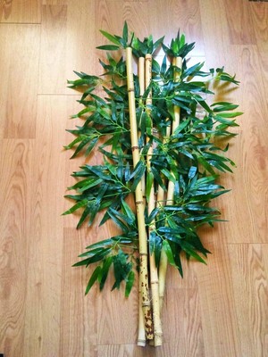 Bambu Bamboo Ağaç 5 Adet 1 Metre Boy Bambu Ağaç Çiçek