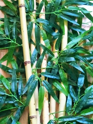 Bambu Bamboo Ağaç 5 Adet 1 Metre Boy Bambu Ağaç Çiçek