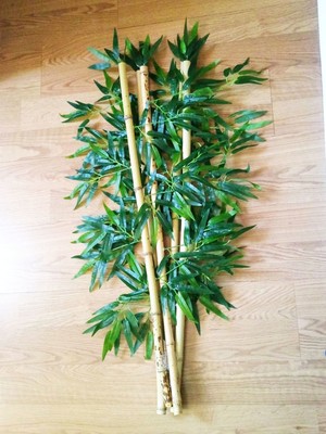 Bambu Bamboo Ağaç 5 Adet 1 Metre Boy Bambu Ağaç Çiçek