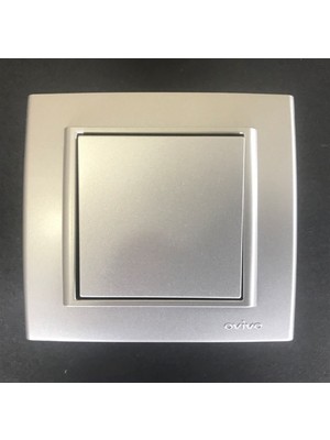 Çağatay Elektrik Çağatayelektrik Ovivo Mina Gümüş (Silver) Anahtar Mekanizma+Çerçeve