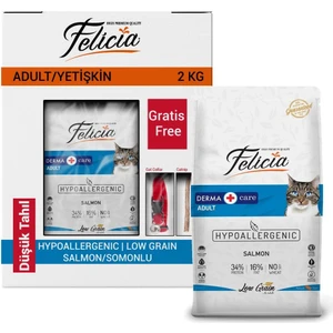 Derma Hipoalerjik Somonlu Kedi Maması 2 kg