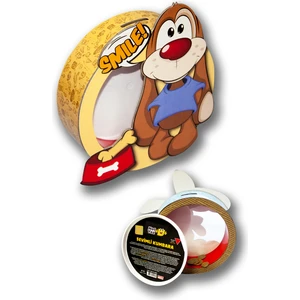Dog Smile  Sevimli Kumbara Pencereli ve Kapaklı