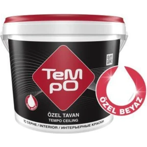 Filli Boya Özel Tavan 1 kg Beyaz