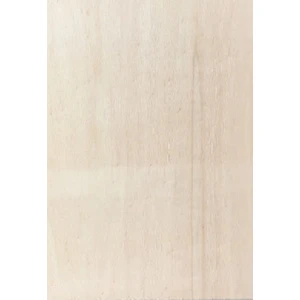 Kavak Kontraplak Lekeli 4 mm A4 2'li