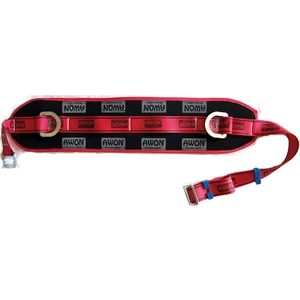 Belden Bağlamalı Emniyet Kemeri