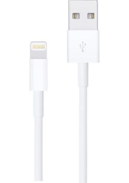 Apple iPad Uyumlu Mini Şarj Aleti 12W Adaptör + Lightning Kablo