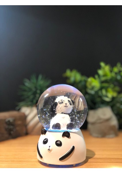 Panda Temalı Işıklı Müzikli Kar Küresi Orta Boy fiyatları