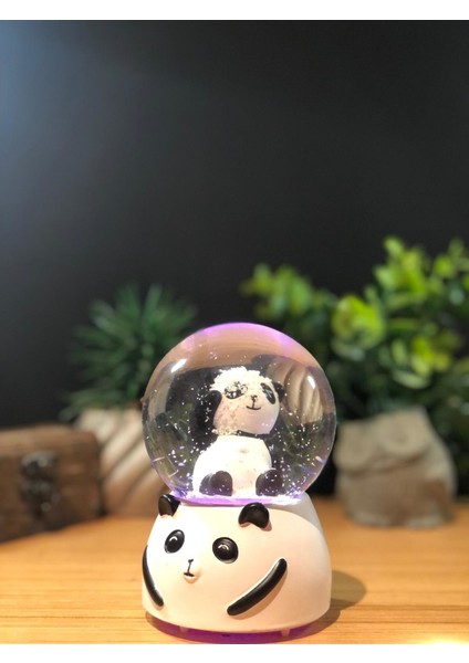 Panda Temalı Işıklı Müzikli Kar Küresi Orta Boy modelleri
