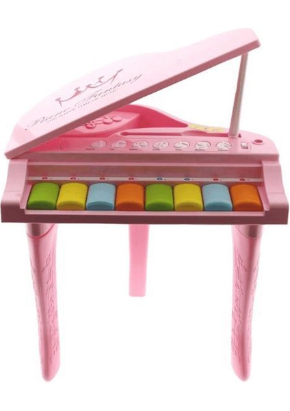Işıklı ve Sesli Pembe Ilk Pianom fiyatları