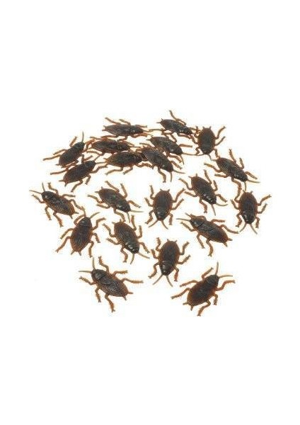 Hamam Böcekleri ( 10 Adet )