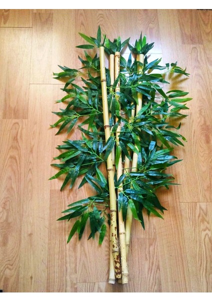 Bamboo Ağaç 5 Adet 1 Metre Boy Bambu Ağaç Çiçek