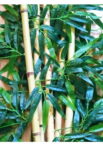 Bamboo Ağaç 5 Adet 1 Metre Boy Bambu Ağaç Çiçek