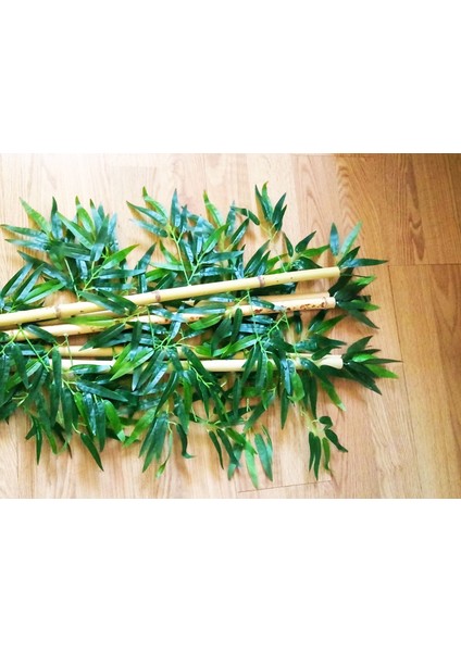 Bamboo Ağaç 5 Adet 1 Metre Boy Bambu Ağaç Çiçek