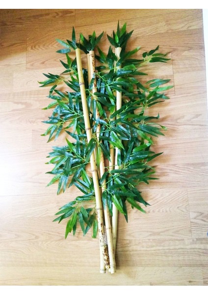Bamboo Ağaç 5 Adet 1 Metre Boy Bambu Ağaç Çiçek