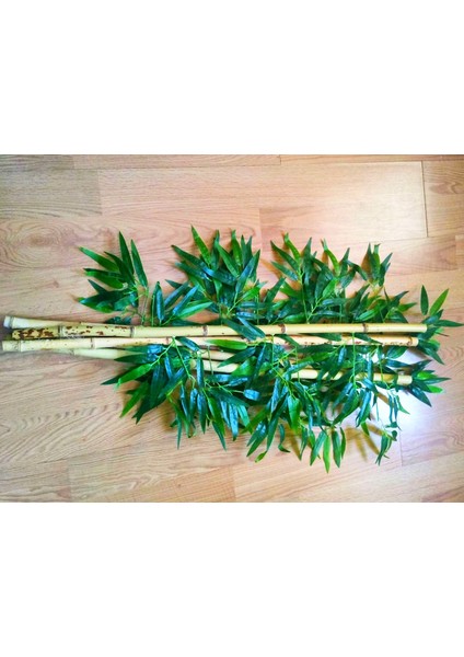 Bamboo Ağaç 5 Adet 1 Metre Boy Bambu Ağaç Çiçek