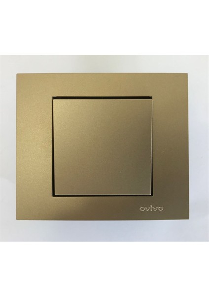 Çağatayelektrik Ovivo Grano Titanyum Anahtar Mekanizma+Çerçeve