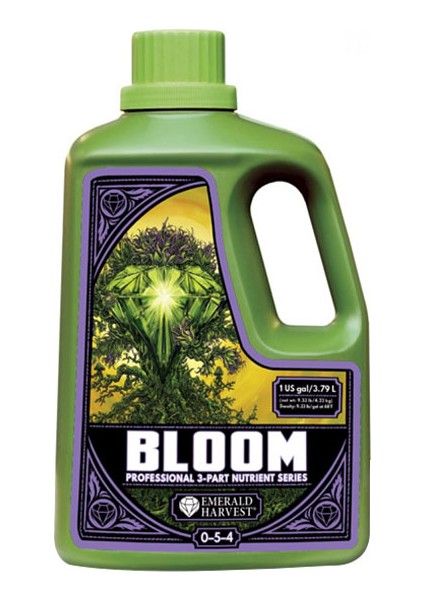 Bloom 3.79 Litre