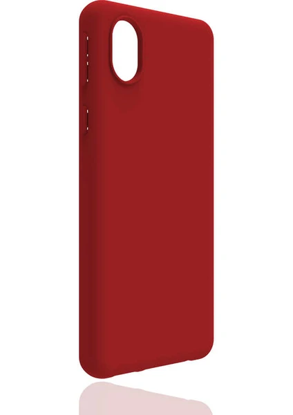 Samsung Galaxy A01 Core Kılıf Biye Yumuşak Silikon Case