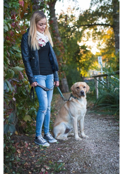 Köpek Gezdirme Kayışı Fosforlu 200 cm
