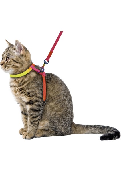 Kayışlı Gökkuşağı Desenli Kedi Bel Tasması 120 cm fiyatları