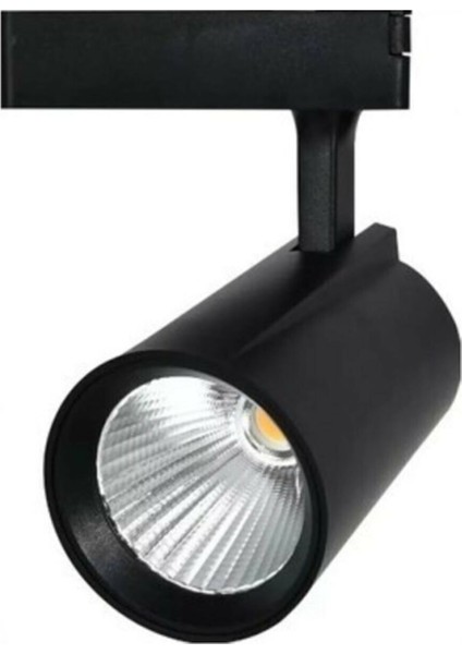 LED Ray Spot 30W gün ışıgı