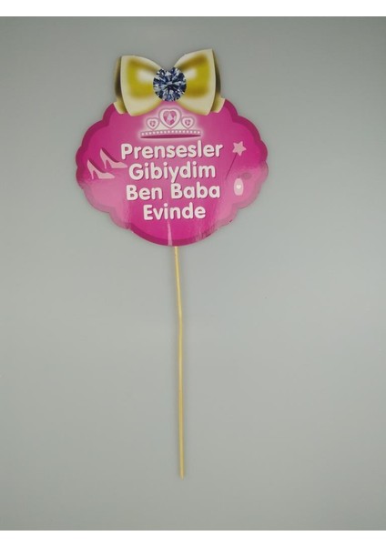 Konuşma Balonu Prensesler Gibiydim Ben Baba Evinde