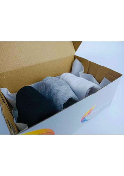 3'lü Sneakers Erkek Çorap fiyatları