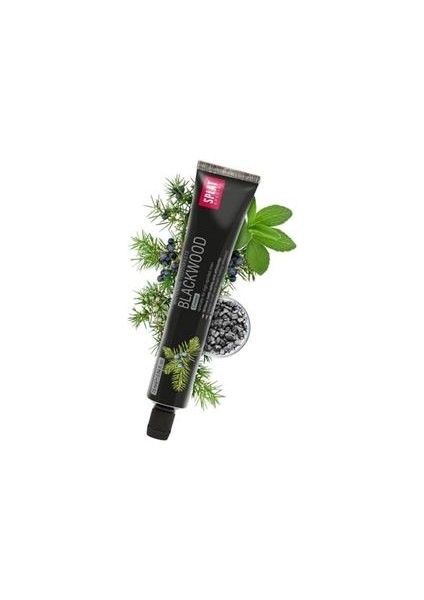 Blackwood Siyah Diş Macunu 75 Ml Güçlü Beyazlatma