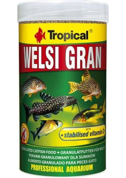 Welsi Gran 100ML 65GR