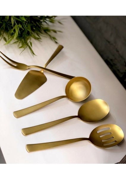 Roy Kıng Venus 5 Prç Mat Gold Titanyum Sos Takımı YTK002