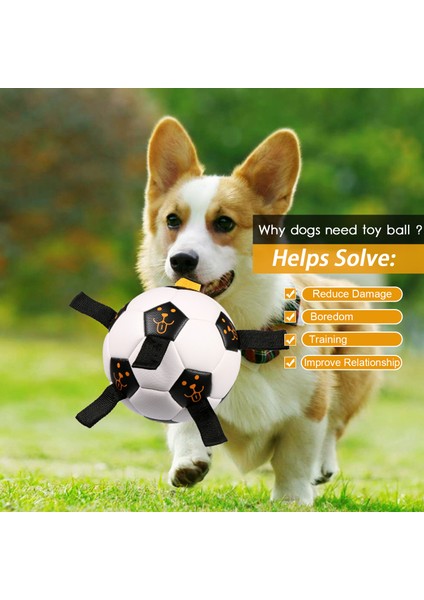 Köpek Oyuncak Topu (Yurt Dışından) fırsatları