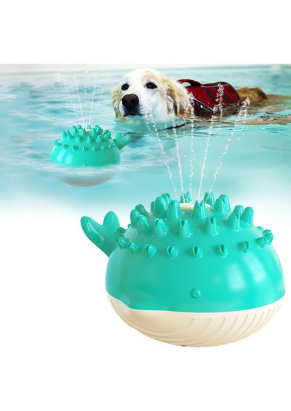 Köpek Çiğneme Oyuncağı (Yurt Dışından) fiyatları