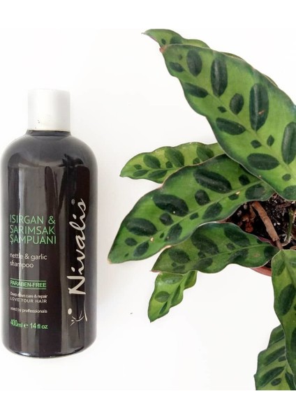 Awe Cemre Isırgan Sarımsak Şampuanı/ Dökülen ve Zayıf Saçlar/ Kırılmış Saçlar Için/ 400 ml fiyatları